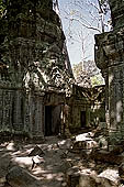 Ta Prohm temple